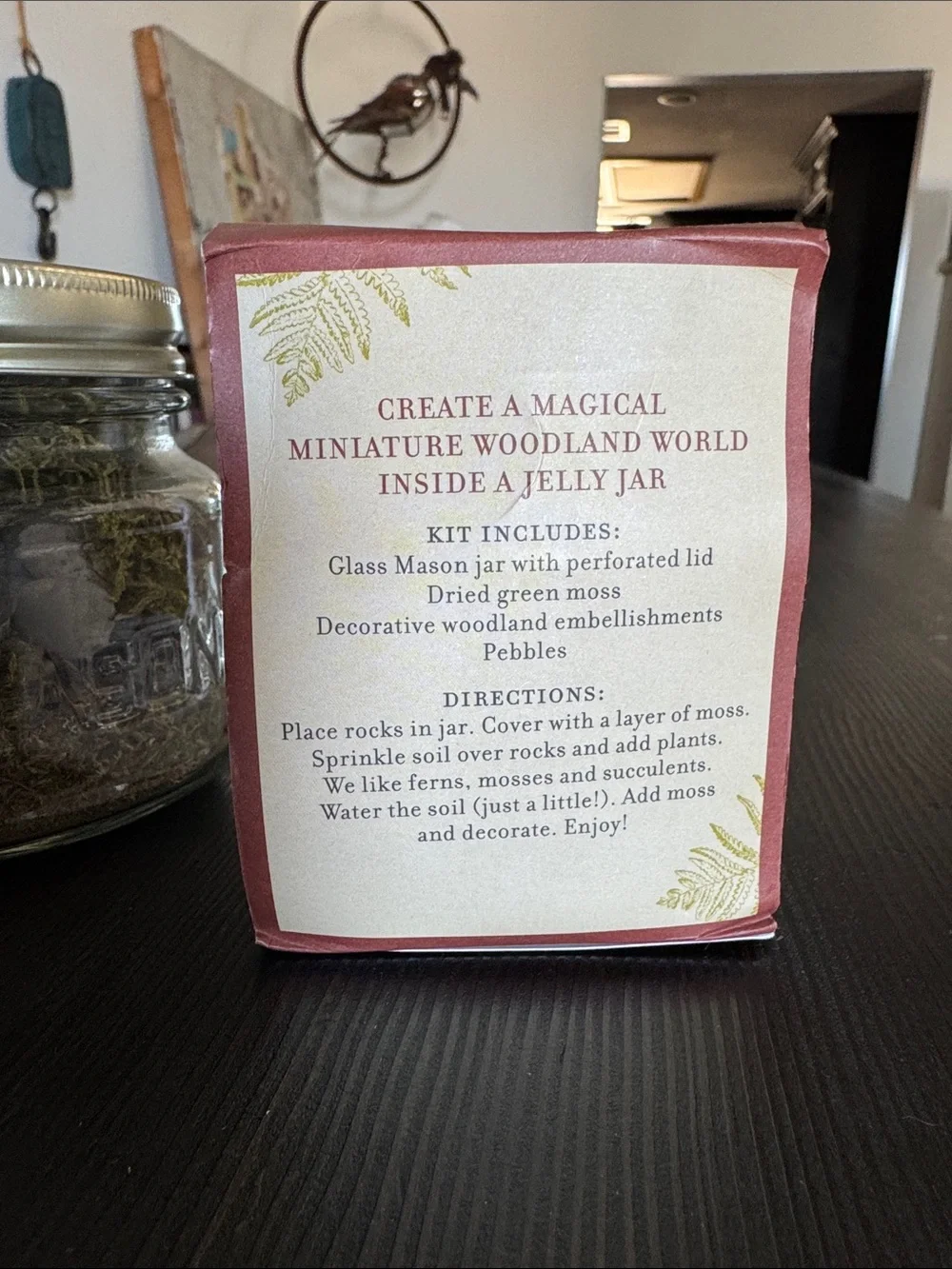 NWT Restoration Hardware Tiny Terrarium Kit